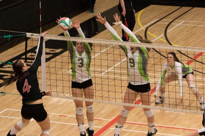 volleyball-Red Deer College
